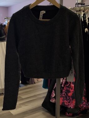 ALO Yoga Dark Gray Cropped Sweatshirt